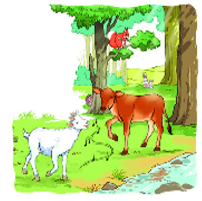 Quan sát tranh và nói tên bài tập đọc:  (ảnh 1)