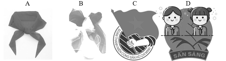 Chọn hình ảnh khăn quàng đỏ. (ảnh 1)