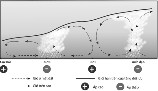 Cho sơ đồ sau (ảnh 1)