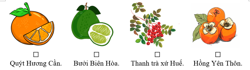 Bãi bờ Nam Bộ đậm vị phù sa trong mùi gì? (ảnh 1)