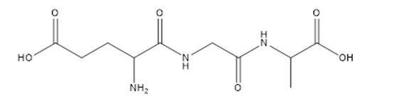Peptit X có công thức cấu tạo như sau:   Thủy phân hoàn toàn 0,1 mol X trong dung dịch KOH (ảnh 1)