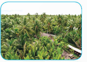  Quan sát hình ảnh dưới đây: Đây là thành phố nào? (ảnh 1)