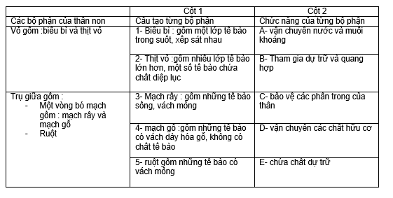Đề kiểm tra Sinh học 6 có đáp án