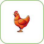 Em hãy chọn đáp án đúng nhất Hình nào có 2 con gà? (ảnh 2)