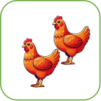 Em hãy chọn đáp án đúng nhất Hình nào có 2 con gà? (ảnh 3)