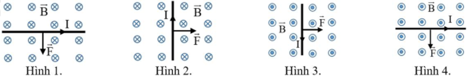 Hình nào dưới đây biểu diễn đúng chiều của lực từ  (ảnh 1)