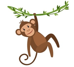 Look and choose: BALL. (ảnh 3)