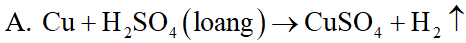Phương trình hóa học nào sau đây không đúng? (ảnh 2)