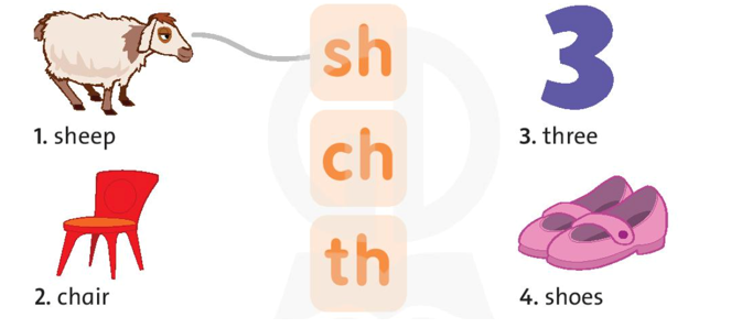 Match the words to the letters (Nối các từ với các chữ cái) (ảnh 1)