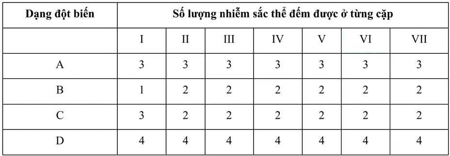 Một loài thực vật có bộ nhiễm sắc thể 2n = 14, gồm 7 cặp (kí hiệu I ⟶ VII), trên mỗi cặp nhiễm sắc thể xét một cặp gene có 2 allele. Biết mỗi gene quy định một tính trạng, tính trạng trội là trội hoàn toàn. Giả sử người ta phát hiện loài này đã tạo ra 4 thể đột biến (kí hiệu A, B, C, D). Phân tích bộ NST của các dạng đột biến thu được kết quả sau:   Mỗi phát biểu sau đây là đúng hay sai? a) Thể đột biến A được hình thành do rối loạn phân bào của một bên bố hoặc mẹ. b) Đột biến dạng C thuộc thể 3. c) Đột biến dạng B mất đi một NST ở cặp số 1. d) Đột biến D chỉ được hình thành trong quá trình nguyên phân. (ảnh 1)