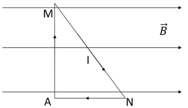 Một dây dẫn được uốn thành một khung dây có dạng tam giác vuông tại A như hình bên với AM = 4 cm, AN = 3 cm và có dòng điện cường độ 5 A chạy qua. (ảnh 1)