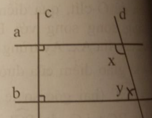 Tính số đo của góc x và góc y trong hình 9 (ảnh 1)