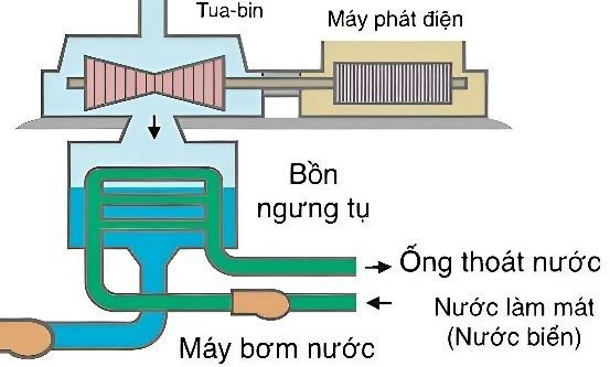 Tìm x (kết quả làm tròn đến 1 chữ số sau dấu phẩy thập phân) (ảnh 1)
