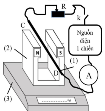 : Một nhóm học sinh thực hiện thí nghiệm xác định độ lớn cảm ứng từ. Bộ dụng cụ bao gồm: dây dẫn CD mang dòng điện không đổi  (ảnh 1)