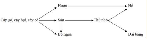 Đề minh hoạ tốt nghiệp THPT môn Sinh có đáp án năm 2025 (Đề 114) - Thumbnail