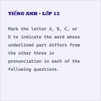 Đề thi giữa kì 1 Tiếng Anh 10 Thí điểm có đáp án (Đề 2)