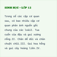 Trắc nghiệm Sinh Học Bài 24 (có đáp án): Các bằng chứng tiến hóa (phần 3) - Thumbnail