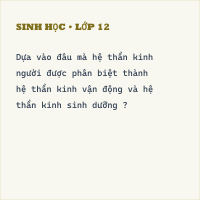 Trắc nghiệm Sinh Học Bài 43: (có đáp án) Giới thiệu chung về hệ thần kinh (Phần 2) - Thumbnail