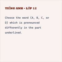 Đề kiểm tra giữa học kì 1 Tiếng Anh 10 có đáp án- Đề 2