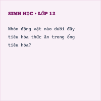 Trắc nghiệm Sinh học 11 Bài 6 có đáp án