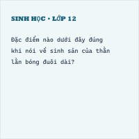 Trắc nghiệm Sinh Học Bài 38: (có đáp án) Thằn lằn bóng đuôi dài (phần 2)