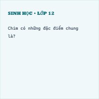Trắc nghiệm Sinh học Bài 44 (có đáp án): Đa dạng và đặc điểm chung của lớp chim