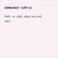 Bộ đề thi Học kì 1 Sinh học 8 có đáp án - Đề 4