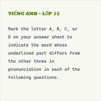 (2024) Đề minh họa tham khảo BGD môn Tiếng Anh có đáp án (Đề 29) - Thumbnail