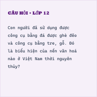 Lịch sử 10 (có đáp án) Lịch sử Việt Nam từ nguồn gốc đến giữa thế kỉ XIX (P1) - Thumbnail