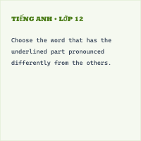 Đề kiểm tra cuối kì I Tiếng Anh 8 (Mới nhất) - Đề 17