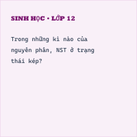 Trắc nghiệm Sinh Học Bài 18 (có đáp án): Chu kì tế bào và quá trình nguyên phân