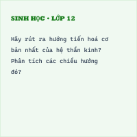 Chuyên đề Sinh Bài 15: Cảm ứng ở động vật có đáp án