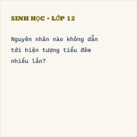 Trắc nghiệm Sinh học Bài 40 (có đáp án): Vệ sinh hệ bài tiết nước tiểu