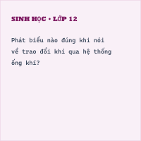 Trắc nghiệm Sinh học 11 Bài 9 có đáp án