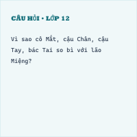 Bài tập tự luận Chân, Tay, Tai, Mắt, Miệng (có đáp án)