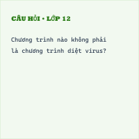 Đề kiểm tra 15 phút Tin học 9 Học kì 1 có đáp án (Bài số 2 - Đề 4)