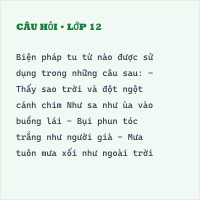 Trắc nghiệm: Bài thơ về tiểu đội xe không kính