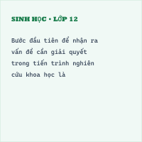 Đề kiểm tra Giữa học kì 1 Sinh 10 có đáp án - Đề 1