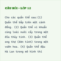 Đề kiểm tra 45 phút - Đề số 1 - Thumbnail