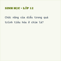 Trắc nghiệm Sinh học Bài 43 (có đáp án): Cấu tạo trong của chim bồ câu