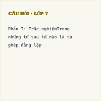 Đề thi giữa kì 1 Tiếng Việt lớp 7 có đáp án (Đề 3)