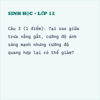 Bộ đề thi giữa kì 1 Sinh học 11 có đáp án - Đề 1
