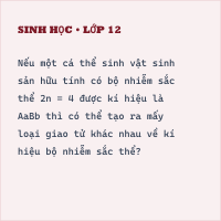 Đề kiểm tra giữa học kì 2 Sinh học 10 có đáp án (Đề 1)