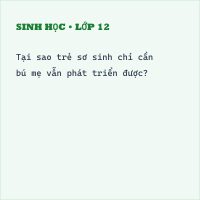Trắc nghiệm Sinh học Bài 36 (có đáp án): Tiêu chuẩn ăn uống. Nguyên tắc lập khẩu phần