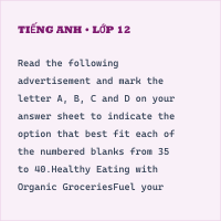 Bộ đề thi cuối kì 1 Tiếng Anh 12 có đáp án - Đề 3