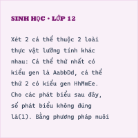 Trắc nghiệm Sinh Học Bài 19 (có đáp án): Tạo giống bằng phương pháp gây đột biến (phần 3)