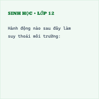 Trắc nghiệm Sinh Học 9 BẢO VỆ MÔI TRƯỜNG Bài 61: Luật bảo vệ môi trường