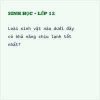 Hỏi Trắc nghiệm Môi trường - Sinh vật (đề 2) có đáp án