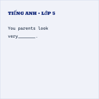 Bài tập Tiếng Anh lớp 5 Unit 3 : Where did you go on holiday? có đáp án