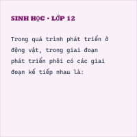 Trắc nghiệm Sinh học 11 Bài 21 có đáp án